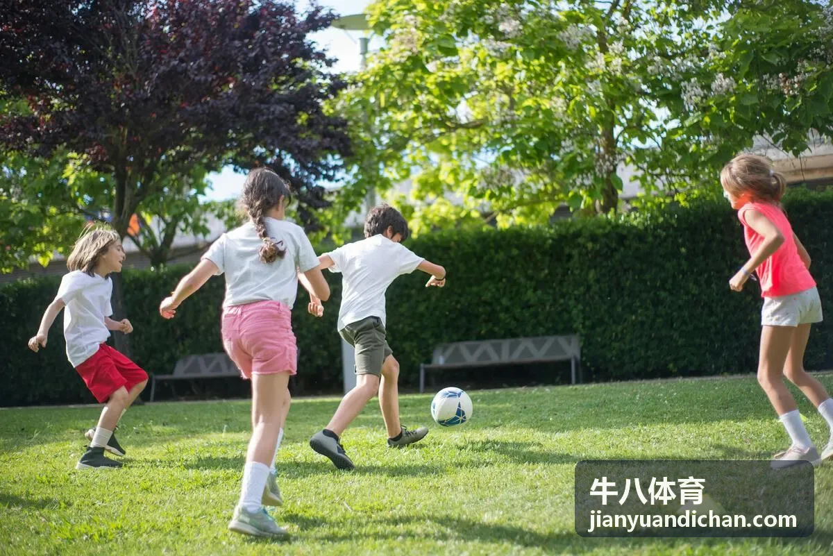 牛八体育场馆智能改造