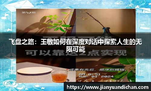 飞盘之路：王敏如何在深度对话中探索人生的无限可能