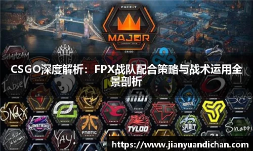 CSGO深度解析：FPX战队配合策略与战术运用全景剖析