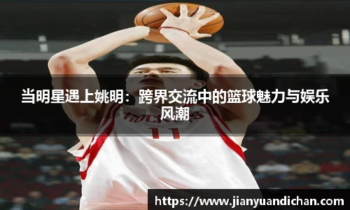 当明星遇上姚明：跨界交流中的篮球魅力与娱乐风潮