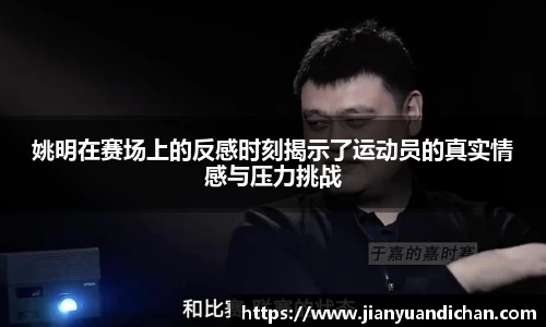 jinnianhui金年会